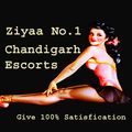 ziyaadarling's avatar